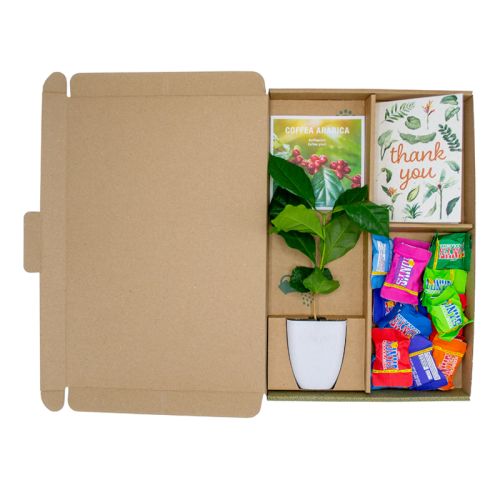 Trægave med Tiny Tony’s - Bild 1